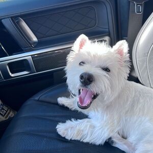 Meet your Posher, Helen